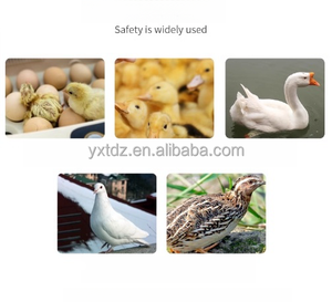 Nhà máy kỹ thuật số ngỗng vịt gà trứng nở công cụ nhiệt độ độ ẩm Điều khiển thông minh nhiệt trứng lồng ấp - Product Image 6