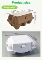 Cartons à œufs en pulpe 6 alvéoles moulés à partir de papier recyclé ----   Boîte personnalisée biodégradable avec logo, emballage écologique