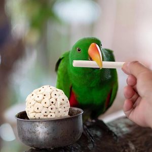 Giocattoli per Uccelli in Fibra Naturale Sola Fatti a Mano, Biodegradabili, 100% Organici, per Pappagalli e Uccelli di Piccola e Media Taglia - Product Image 3