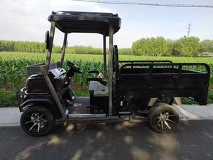 Mini camionnette électrique pour adultes, 4 roues, 60V2500W, fonctionnant sur batterie, véhicule utilitaire - Product Image 5