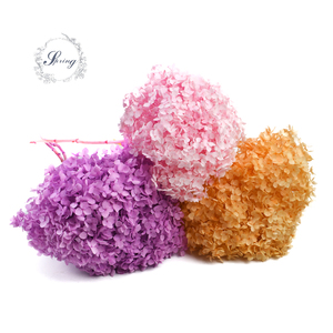 Commercio all'ingrosso singola conserve secchi ortensie con staminali per la decorazione di cerimonia nuziale - Product Image 1