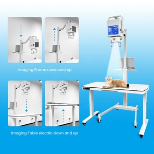 휴대용 X선 기기 정적 DR 휴대용 이동식 X선 기기 수의학용 풀 이미징 시스템 수의학용 의료용 X선 - Product Image 4