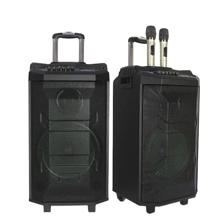High Quality 12" Woofer Portable Sound System TWS Wireless Audio Player Wood Case Trolley Powered Speakers Outdoors