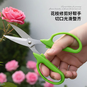 Sécateur de jardin en acier inoxydable avec manche vert pour la taille des arbres et des fleurs, utilisation extérieure - Product Image 1