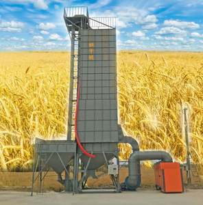 Machine automatique de tri des grains d'olives graines de riz Nigeria Thaïlande Indonésie Vietnam - Product Image 1