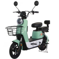 Vélo Électrique Écologique avec Pédales, Moteur Arrière, Moteur Électronique Sans Balais, Batterie au Lithium Légère, Vélo Électrique pour Trajets Quotidiens