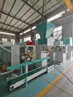 Machine d'emballage automatique de haricots de 15kg pneumatique pour sceller l'emballage de canettes de liquide bouteilles pochettes feuille avec peseur PLC