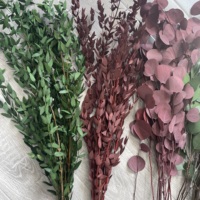 Fleurs et plantes stabilisées, tiges d'eucalyptus, feuilles d'eucalyptus naturelles, branche d'eucalyptus séchée, fleur d'eucalyptus pour la décoration de la Saint-Valentin