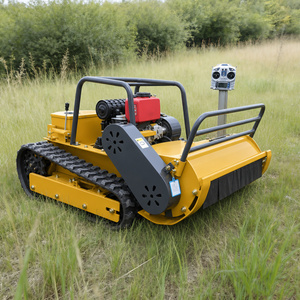 Cortadora de Césped Robótica Pequeña con Motor Diésel, Ancho de Corte de 800 mm, 1000 mm, 1200 mm, Cortadora de Césped con Control Remoto - Product Image 2