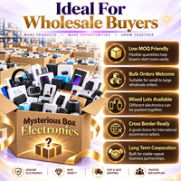 Pallet di Liquidazione Elettronica: Mystery Box con Altoparlante Portatile, Action Camera, Power Bank - Supporto per Imballaggio Personalizzato per Grossisti