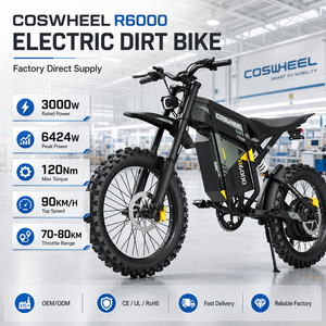 Coswheel para Motocicleta R6000, 6424W, 60V30Ah, Cuadro 70/100, Neumático 19M/C, Freno de Disco Hidráulico, LED, NFC, 80km/h - Product Image 2