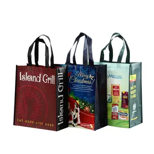 Kustom Eco Reusable PP Kecantikan Dilaminasi Non Woven Kelontong Belanja Tote Bag