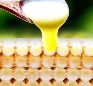 <span class=keywords><strong>Gelée</strong></span> <span class=keywords><strong>royale</strong></span> fraîche de haute <span class=keywords><strong>qualité</strong></span> - Product Image 6