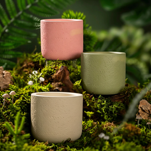 Candele Profumate Personalizzate con Fragranze Sottili: Muschio, Cannella, Cashmere, Caffè, Petrichor, Aromaterapia, Soia, per Festività e Diwali - Product Image 1