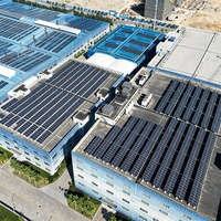 Cinta de Embalaje Acrílica BOPP RTS de 48 mm x 100 m, Impermeable, Amarilla, Envío Directo desde Guangxi, Entrega en 3-7 Días, Indonesia, Malasia, Vietnam