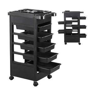 Professional Modern Plastic Beauty Salon <b>Trolley</b> with Easy -Moving Wheels for Hotel & Outdoor Use - Product Image 2