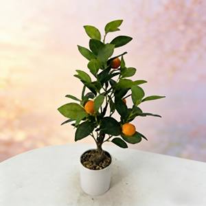 Árbol de Naranjas Artificial, Árbol Artificial, Árbol de Frutas Artificial, Árbol de Naranjas - Product Image 6
