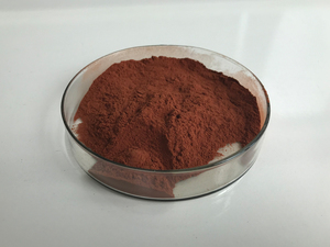 Manufacturer Directly Supply <strong>Grape</strong> <strong>Seed</strong> <strong>Extract</strong> - Product Image 2