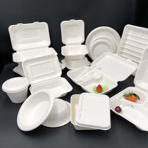 可生物降解的蛤壳执行箱堆肥环保去容器甘蔗渣箱快餐圆 - Product Image 6