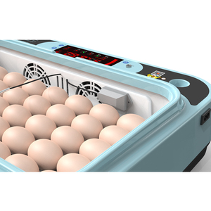 Small Size Household Hatcher Chicks <strong>Brooder</strong> 24 Eggs Hot Sale <strong>Automatic</strong> Birds Chicken Incubator - Product Image 4