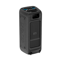 Haut-parleur d'extérieur sans fil Bluetooth grand format avec microphone, portable, rechargeable, RGB, double micros, pour voiture, fêtes en extérieur, camping