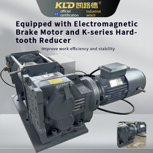 כננים תעשייתיות כננות הרמה ומשיכה חשמליות במשקל 1.5 טון עם מגביל גובה ומנוע בלם אלקטרומגנטי - Product Image 5