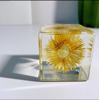 Cube de résine acrylique transparent avec feuille d'érable et fleur séchées, presse-papiers décoratif de bureau