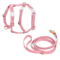 Arnés de Plástico Ajustable Personalizado al por Mayor para Mascotas con Logotipo OEM, Arnés para Perros de Alta Calidad con Revestimiento de PVC Suave, Collar y Correa Antitirones