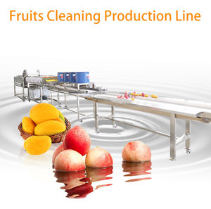 Giá <span class=keywords><strong>Lulo</strong></span> rửa và dây chuyền chế biến khô - Product Image 4