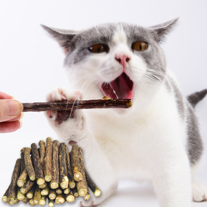 YH05 <span class=keywords><strong>Mu</strong></span> Tian Liao 0,5-0.7dia Natural SilverVine Wood Stick Pet Cat Herramienta de limpieza de dientes Actinidia Polygama Molar Rod Pure Toy - Product Image 3