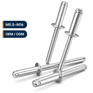 Rivets à tête <span class=keywords><strong>fraisée</strong></span> en acier inoxydable SS 201 304 316 316L de 3,2 mm, 4,8 mm, 5 mm, rivets aveugles à bride, rivets à percussion 1/8, 3/16, 5/16, 5/32 - Product Image 2