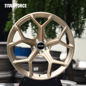 Rines TITAN FORCE 19x9 20x10 21x9.5 21x10.5 5x112 Forjados a Medida en Oro Transparente Pulido para Audi Q8 RSQ8 e-tron GT A8 S8 - Product Image 1