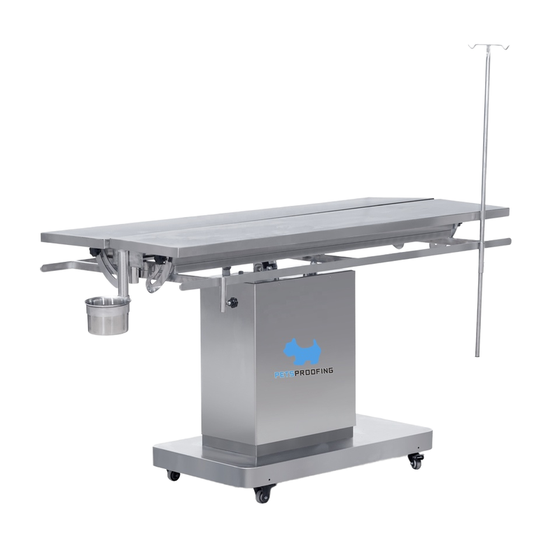 Petsproofing Veterinary Hospital Preparation Treatment Dental