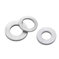 10mm 12mm Acier Au Carbone 4.8 8.8 10.9 12.9 Bleu Blanc Zinc Galvanisé Double Pli Rondelle Autobloquante DIN 25201
