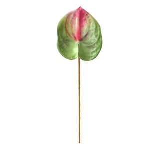 Fleurs artificielles Anthurium Yoshinobu, blanc, vert, rose, tige unique, bouquet, décorations - Product Image 5