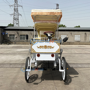 Carruaje Eléctrico Turístico Zhenda para Bodas y Visitas Turísticas, Capacidad para 6-11 Personas, Estructura de Acero - Product Image 2