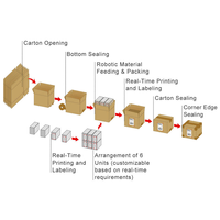 Ligne d'emballage de cartons entièrement automatique, poseuse de cartons, érecteur de cartons, machine de scellage de boîtes, robot de palettisation, ligne d'emballage