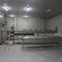 Nouvelle machine automatique de pesage et de classement de bande d'abattage de volaille selon la norme européenne
