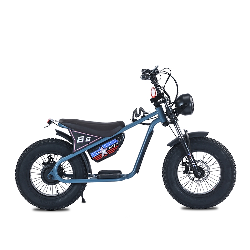 Best BMX Race Vehicle 350w 36V off Road 10 Inch Off-road Tire Racing Kids Electric Electric Bike for Kid