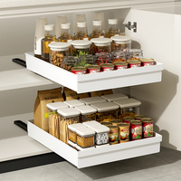 DAYOOH Étagère coulissante extensible pour armoire de cuisine, tiroir de rangement en plastique robuste pour épices