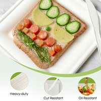 Assiettes carrées jetables en bagasse de canne à sucre biodégradables et compostables de 10 pouces, robustes et écologiques