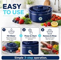 Titanium plaat groente- en fruitreinigingsmachine, IPX7 waterdichte fruitreinigingsapparaat met OH-ion zuiveringstechnologie