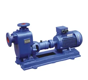 ZX Series Self priming Direct connected Centrifugal Water pumps
