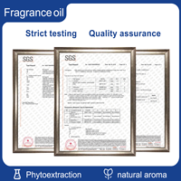 Huiles de Parfum Fournies Directement d'Usine, Huiles Essentielles de Parfum Concentrées pour Marques de Parfums