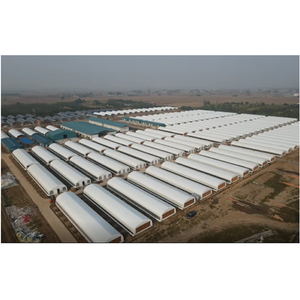 Insulated Steel-Structure Mushroom Growing <b>Greenhouse</b> Intelligent Climate Control Customizable - Product Image 2