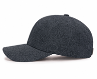 Wollen baseballpet met brede klep, winterwarm, hardtop, Koreaanse stijl, unisex, luipaardprint, verdikte bovenkant, 6-paneels ontwerp