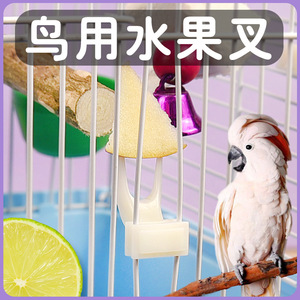 Mangeoire rectangulaire en plastique pour oiseaux, durable, pour perroquets, budgies, calopsittes, accessoires de cage à oiseaux, mangeoire pour fruits et légumes - Product Image 4