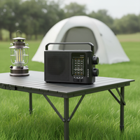 Radio portable classique AM FM SW avec logo personnalisé OEM, vente en gros d'usine, radio USB, lecteur de carte SD, lampe de poche, batterie au lithium rechargeable