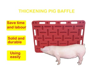 Bền PP nhựa lợn Hội Đồng Quản trị cho lợn trang trại thiết bị điều kiện mới - Product Image 6