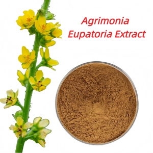 Suministro de Fábrica: Extracto de Hierba en Polvo, Extracto de Planta de <span class=keywords><strong>Agrimonia</strong></span> Eupatoria Hairyvein Cultivada Silvestre - Product Image 4
